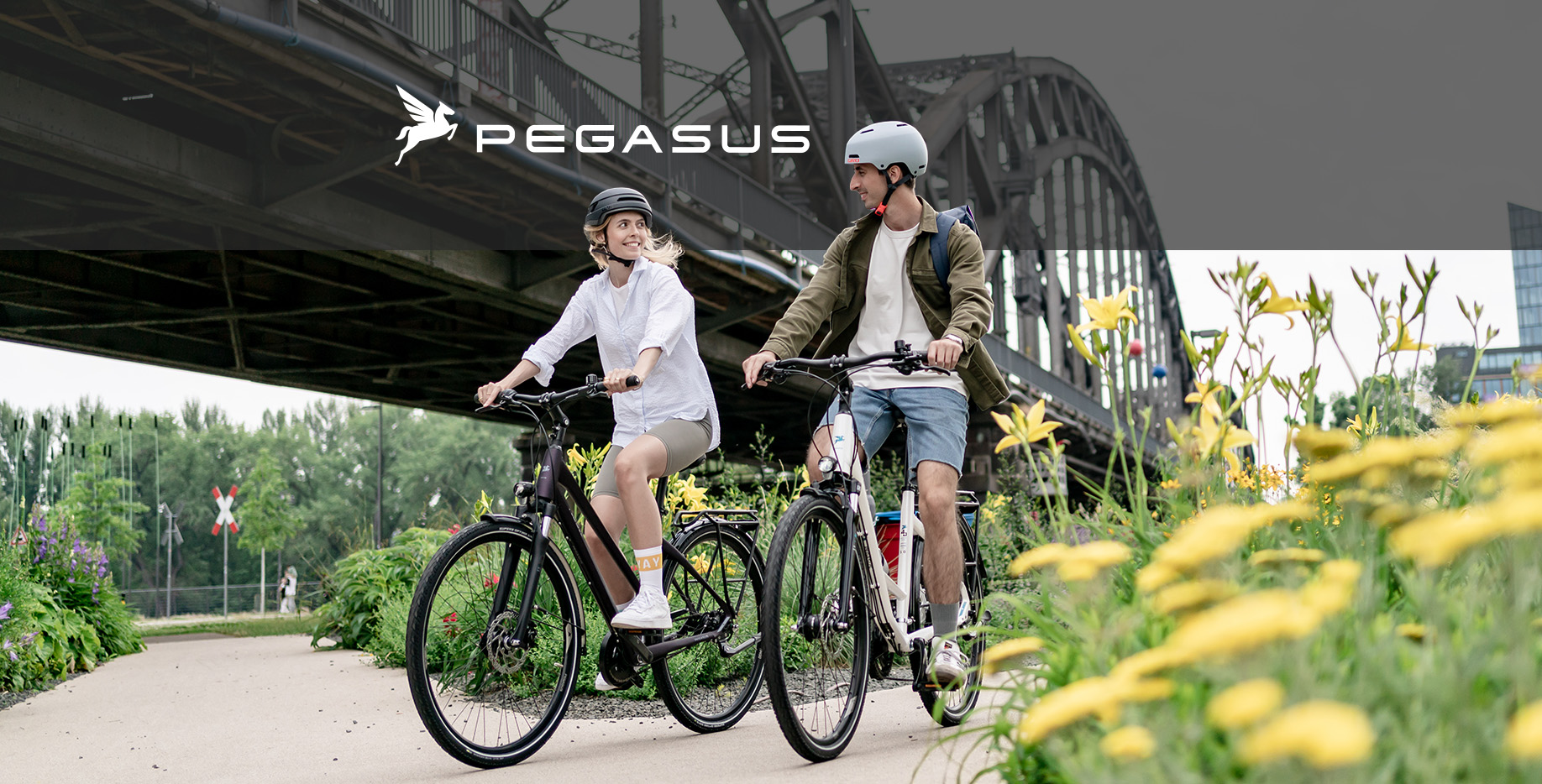 Markeneinstieg_Pegasus_NEUES-Logo_2021
